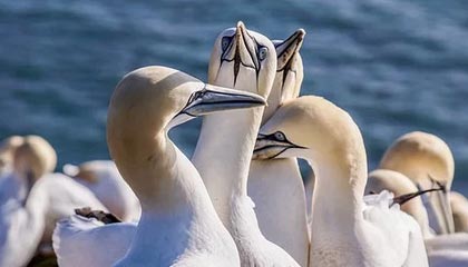 大家最开始都没反应过来，51吃瓜黑料后续真正让人意外的点根本不在表面，后来回头再看前面那句才是真的有味道，难怪后来越来越多人开始复盘。