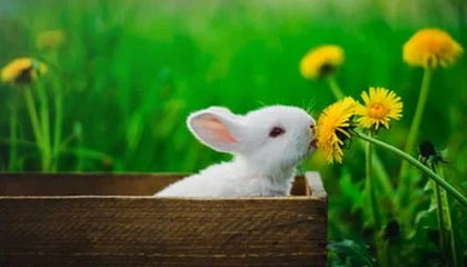 每日大赛app官网像是把窗户纸捅破了，原来争议点在这里