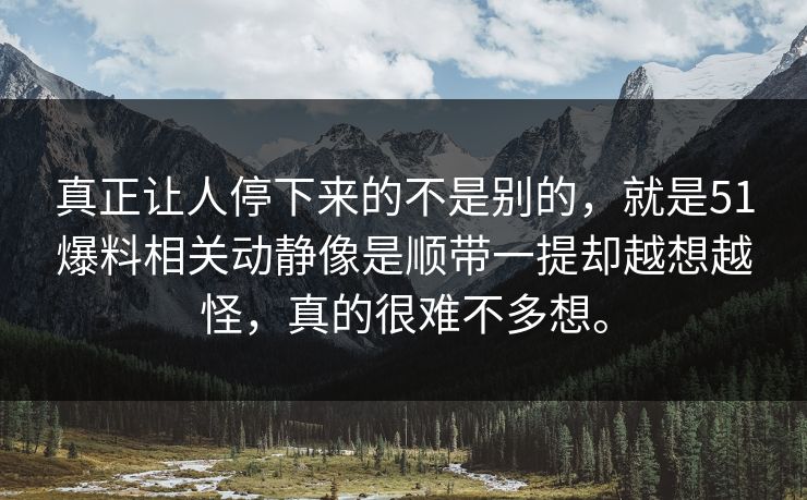 真正让人停下来的不是别的，就是51爆料相关动静像是顺带一提却越想越怪，真的很难不多想。