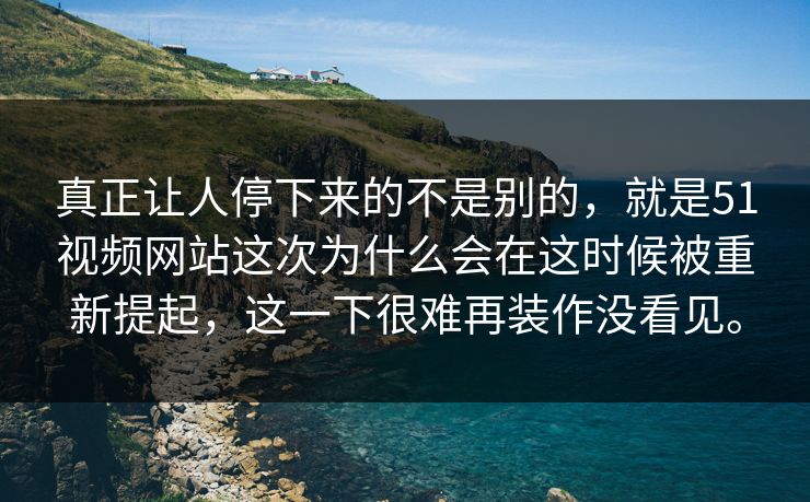 真正让人停下来的不是别的，就是51视频网站这次为什么会在这时候被重新提起，这一下很难再装作没看见。