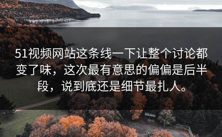 51视频网站这条线一下让整个讨论都变了味,这次最有意思的偏偏是后半段,说到底还是细节最扎人。