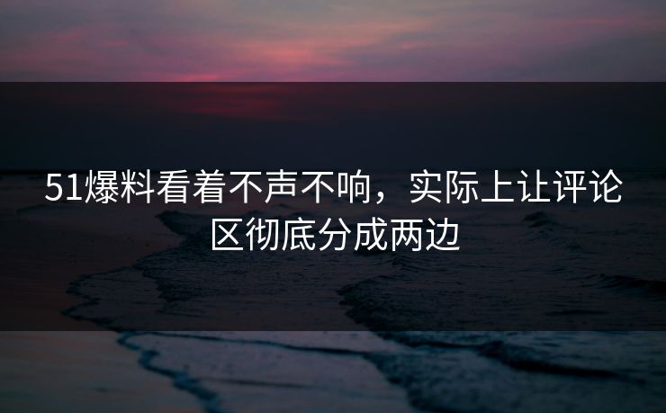 51爆料看着不声不响,实际上让评论区彻底分成两边
